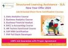 Data Analytics Courses Delhi with Free Python by SLA Institute in Delhi, NCR, Business Analyst Certi