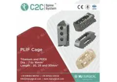 Stand Alone Cages Spine 