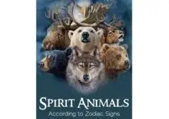 【✚２７７２５７７０３７６】: Techniques for Deciphering Spiritual Guidance from Nearby Animals