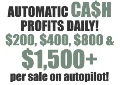 Daily Cash Flow Automatically