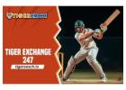 Tiger Exchange 247: TigerExch247 offers Cricket Betting ID 