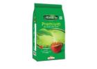 Premium Tea – Rich Aroma and Exceptional Taste in Every Cup | Marvel Tea