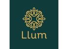 Car Freshener | Llum 