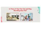 Dog Boarding Near Me  | CGS Hospital