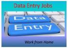 Outsource Us Form Filling Data Entry call 7708244092