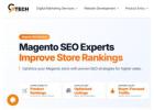 Want More Sales from Your Store? Choose Reliable magento seo services 
