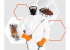 Home Pest Control in Jaipur Safe Residential Treatment Experts