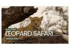 Leopard Safari in Jaipur: A Thrilling Wildlife Experience