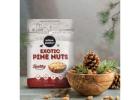 Urban Platter Pine Nuts for Premium Recipes