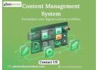 Content Management System (CMS) Solutions for Easy Website Management