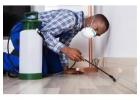 Century Pest Lockhart