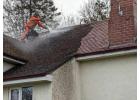 Moss Removal Roof George