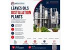 Leaves Oils Distillation Plants | Mecho Tech