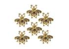 Buy Brass Cabinet Knobs to Change the Look of Old Furniture- Perilla Home