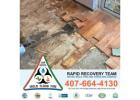 Trusted Water Damage Restoration in Tampa