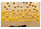 Pasta making class in Milan