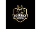 Family Protection Dogs for Sale | Prestige Protection Dogs