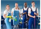 Professional Schools Cleaning Services for Clean and Healthy Learning Spaces