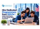 Hire Dedicated Programmers from $20/hr | Vetted Developers, 14-Day Money-Back Guarantee