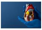 Best Cardiac Surgeon in Indore for Bypass Surgery: V One Hospital