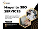 Need Help Improving Your Magento Website Rankings? 