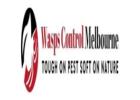 Wasp Nest Removal Melbourne