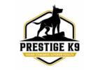 Dog Training Dallas Texas | Prestige K9